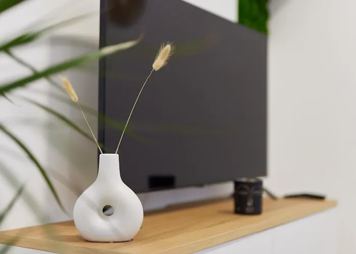 Homeme 2 I Zentral I Netflix I Kueche I Parkplatz I Kliniknah